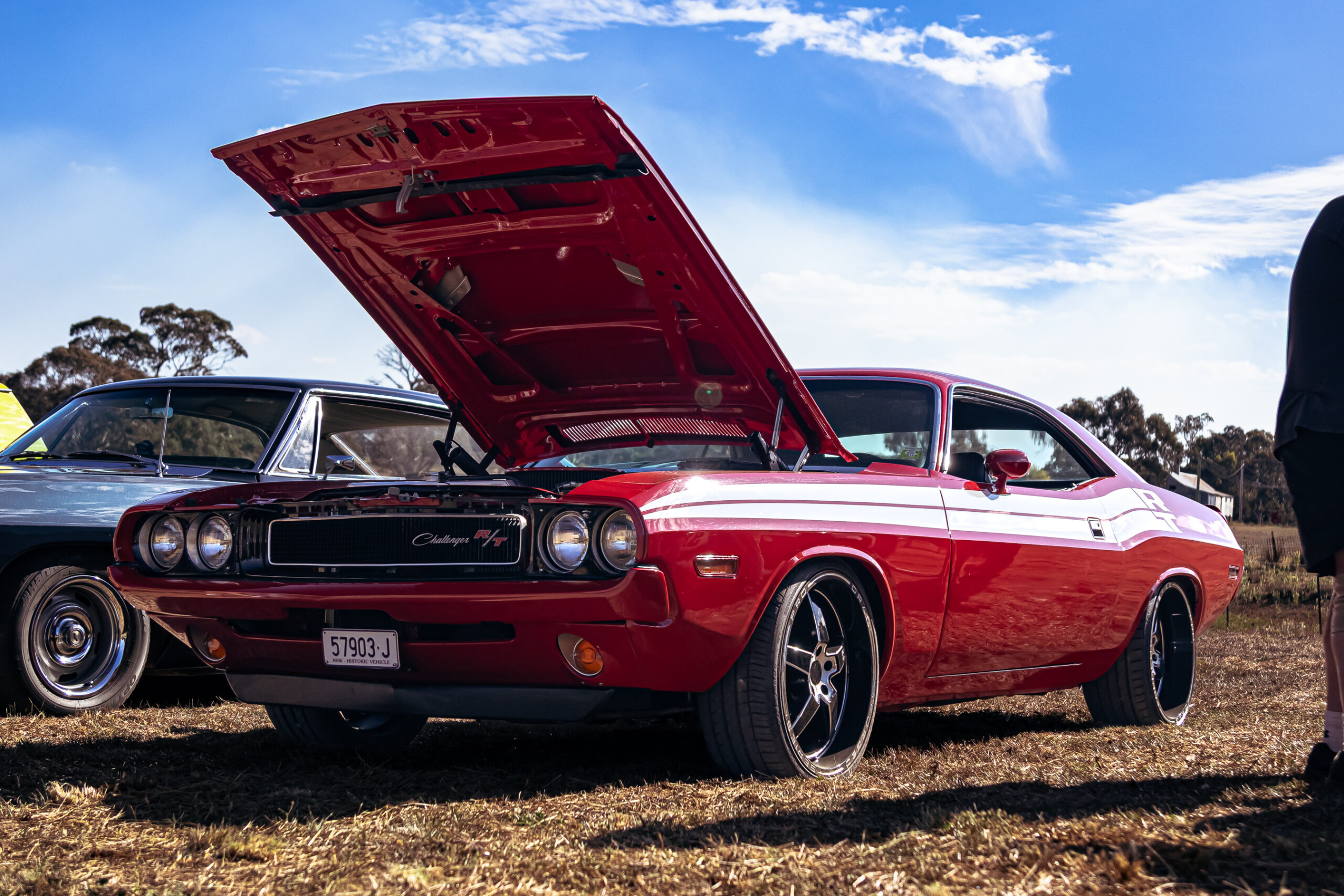 Best Muscle